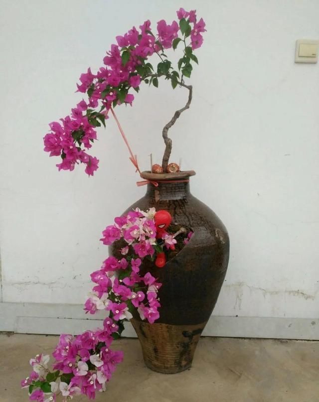 我型我秀|腌咸菜的坛子钻个孔,养花变成巨无霸,特美