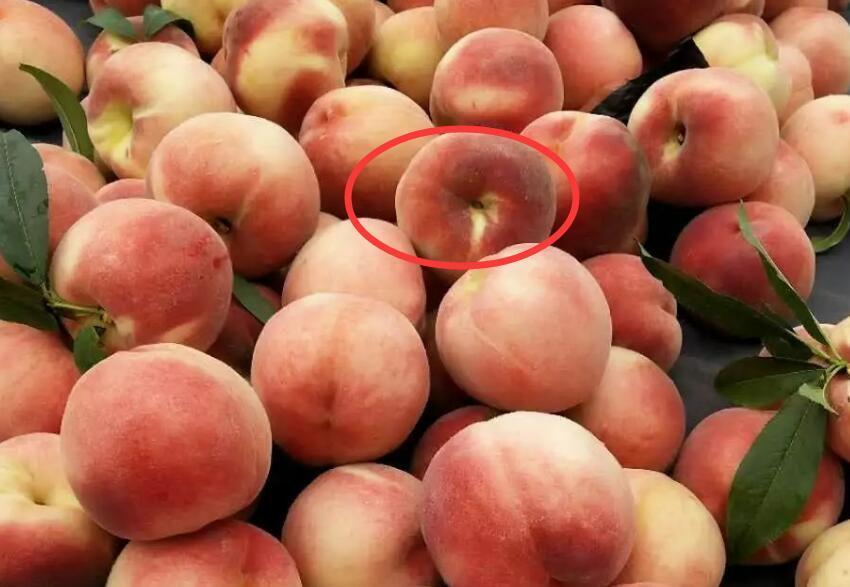 夏天桃子的挑选方法,记住5点,准能买到好吃的桃子