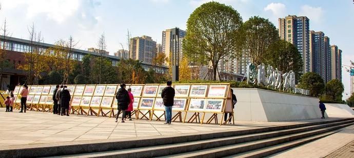  图片|大波图片来袭，这一年生活在龙泉驿的你幸福指数又升高了！