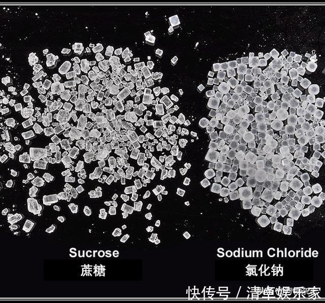 糖和盐混在一起了要怎么分开？｜ 趣问万物