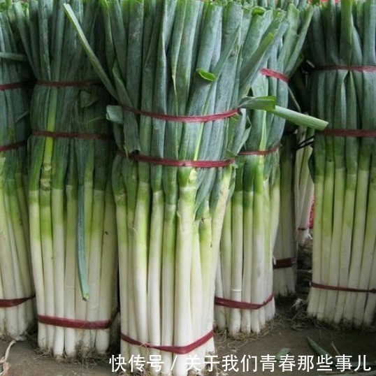 保存|保存大葱，记住2个原则，学会2个方法，3个月不坏，不干瘪不空心
