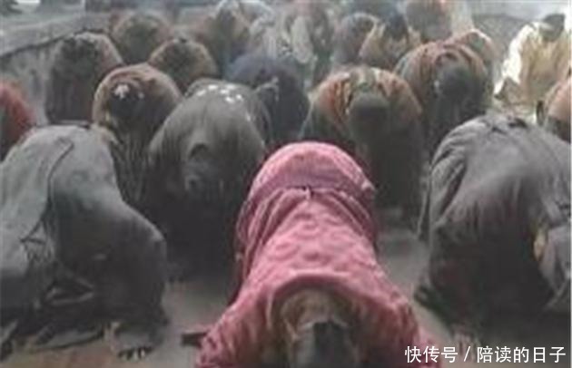 武松恶心宋江不是因为厌恶招安,他从两件事看出宋江已成妖邪之辈