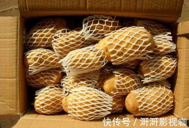纸箱|今天才知道,保存土豆真简单,只放一点它,放一年都不怕发芽