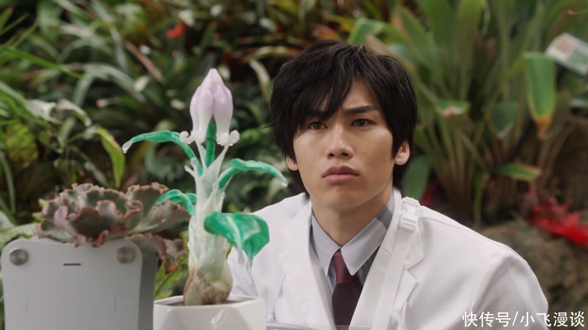 古代|露露耶花隐藏着哪些小细节？名字来自剧场版，外形和设定像齐杰拉
