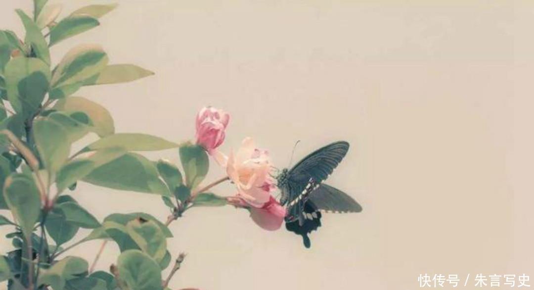 昨夜秋风来|苏轼这首经典的《蝶恋花》,通篇情景交融,写得也是很有韵味