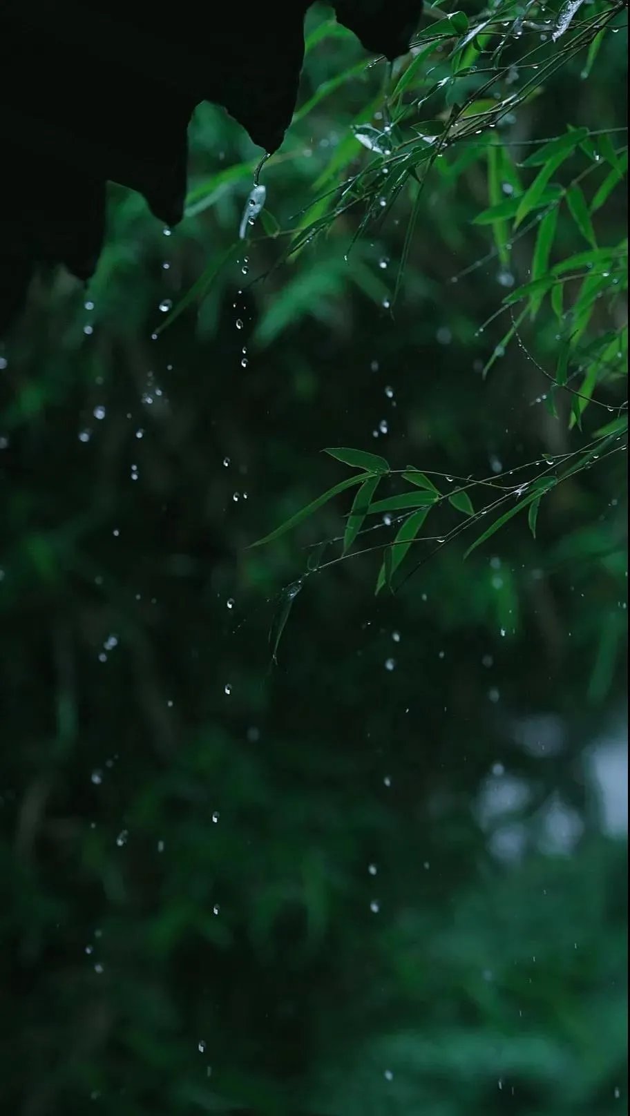 黄鹂深树鸣|韦应物，独怜幽草涧边生