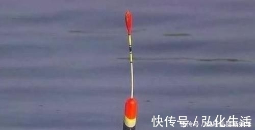 大家伙|野钓发现3种信号,说明“大家伙”来了,万万不要胡乱提竿