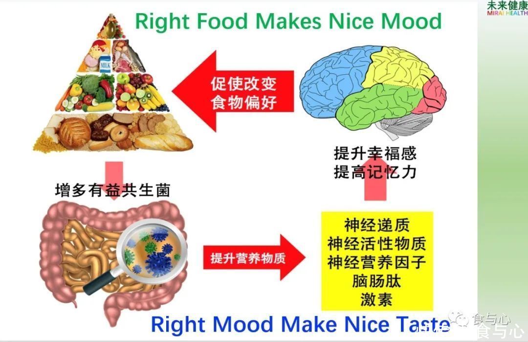 碳水化合物|你在为谁吃饭？看懂了就知道人为什么会生病 (1)