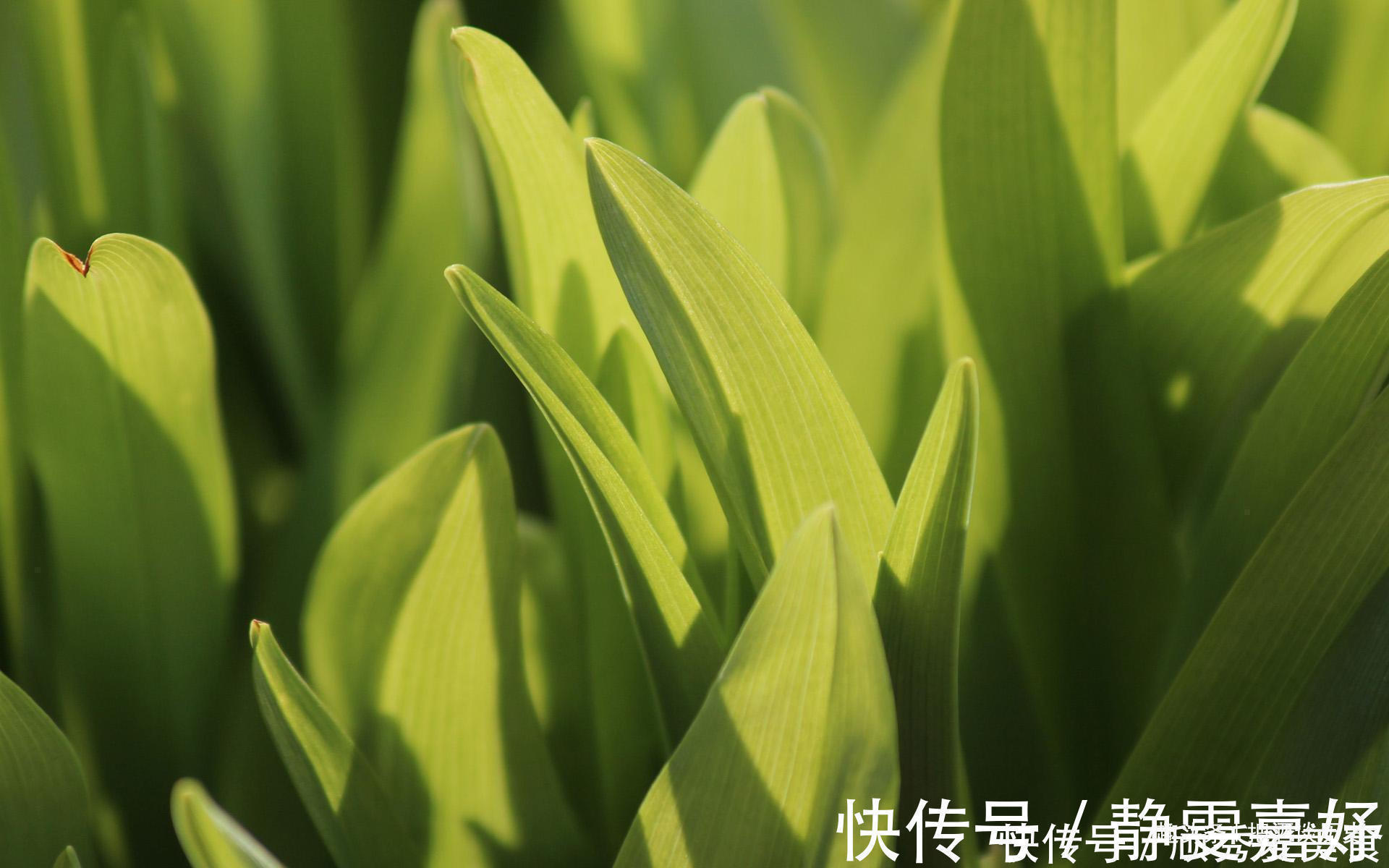 老实人&人有再大的本事,这四句话也别随意说,避免祸从口出