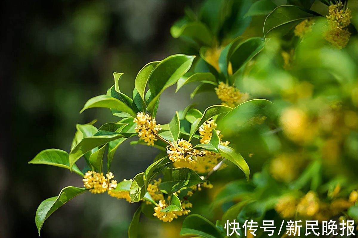 上海博物馆|10月29日·上海要闻及抗击肺炎快报