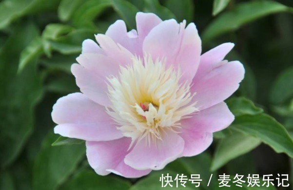 福运@俗话说:人生不如意,十之八九,牢记4句话,从此福运不断!