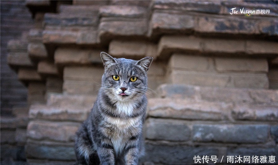 造访|宁夏青铜峡：造访沉睡千年的一百零八塔