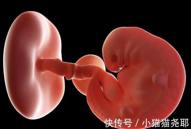 准妈妈|怀孕1~40周,每周身体有何变化?送你一份“孕期清单表”!