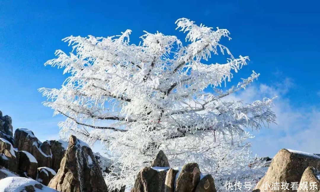 眷恋|雪后的泰山！美！