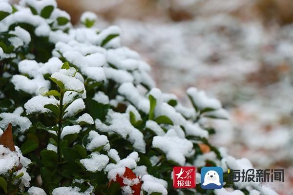 入冬|@邹平市民：入冬以来第一场雪请您查收