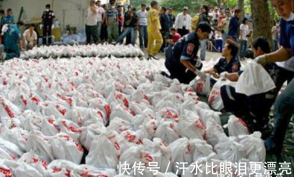 人流|人流那么多,那些被准妈妈流产的孩子都去哪里了?