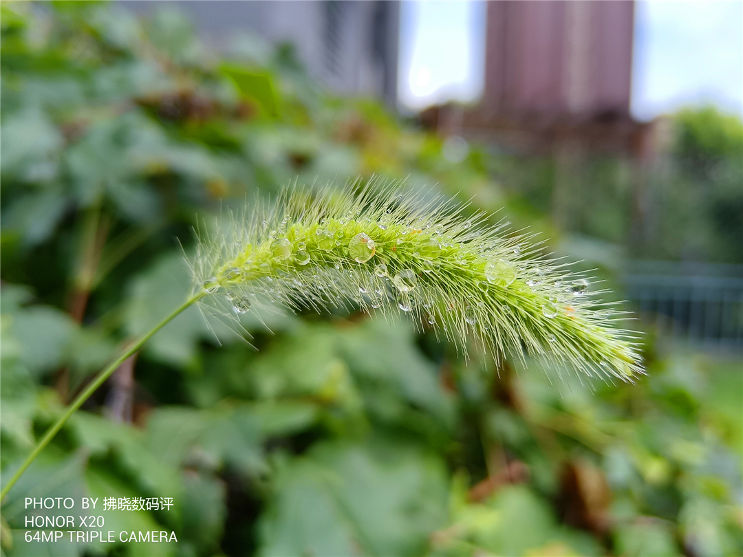 白菜|旗舰设计被卖成“白菜价”，屏占比还高得离谱？荣耀X20评测