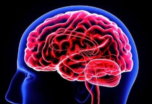 区别|“天天午睡”和“从不午睡”的人，区别在哪？对健康有影响吗？