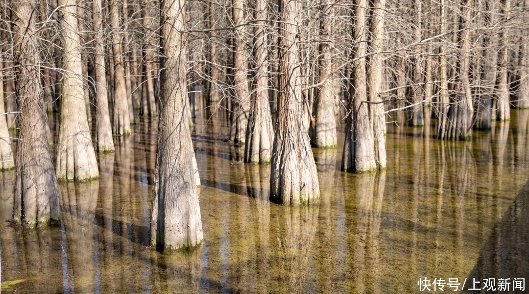 西沙湿地开园啦