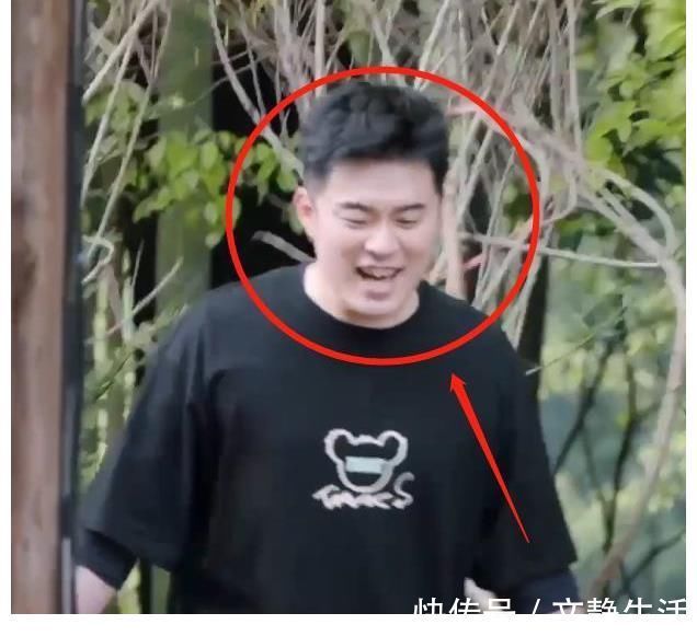 杨紫|陈赫李诞录向往5引热议，下季不要再请，导演的回应让人看愣了