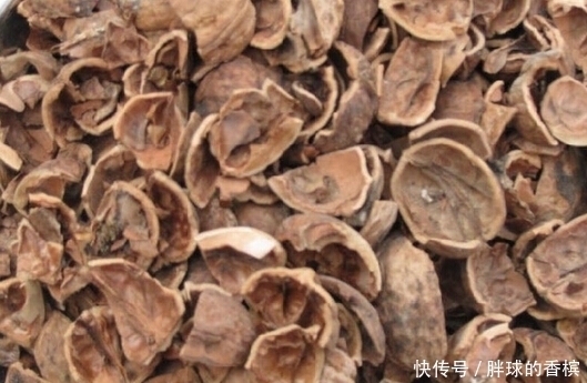 用水|核桃壳不要扔了,用水煮一煮,能解决许多人的烦恼,大家来了解下