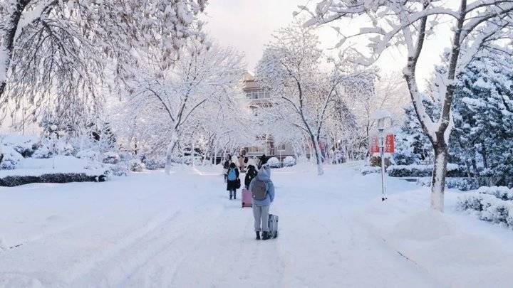 鲁东大学这场雪！太！大！了