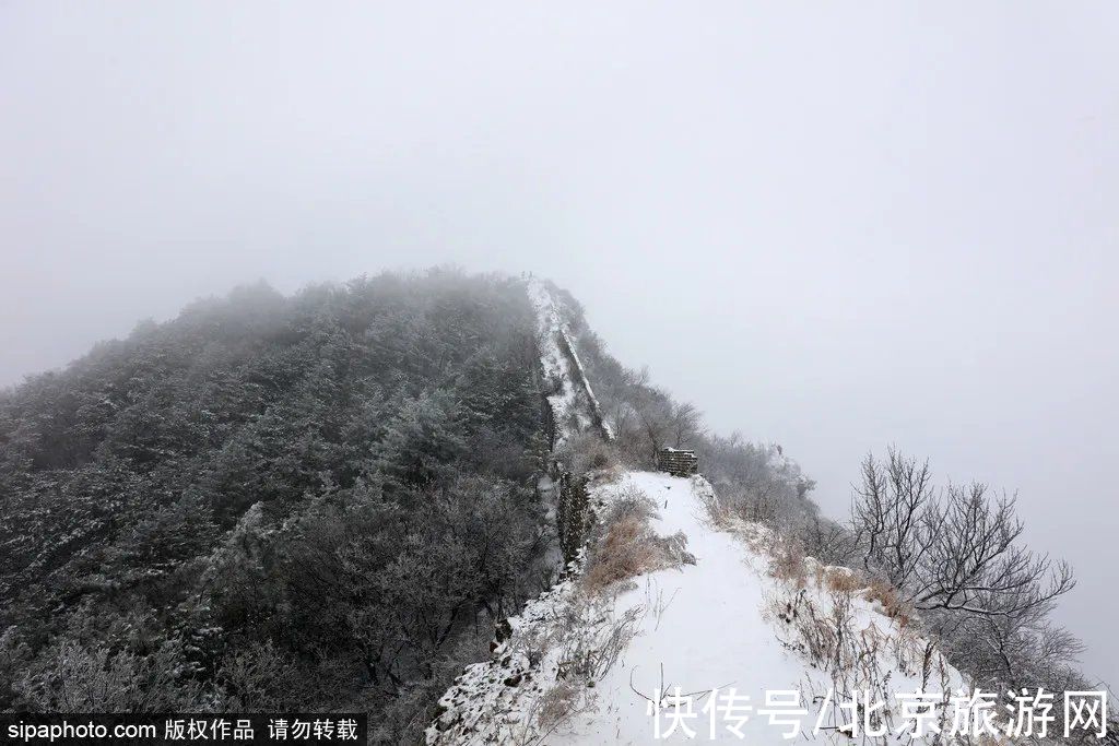 小雪|节气小雪丨天寒地冻，北京这里桃花却开了！（文末有福利）