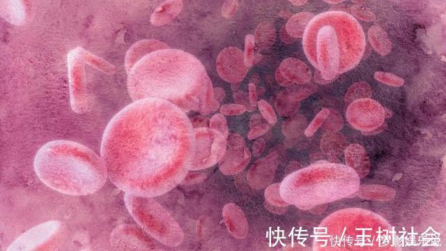 深海鱼|藏在身边的“补钙高手”,并非骨头汤,而是这4物,希望你爱吃