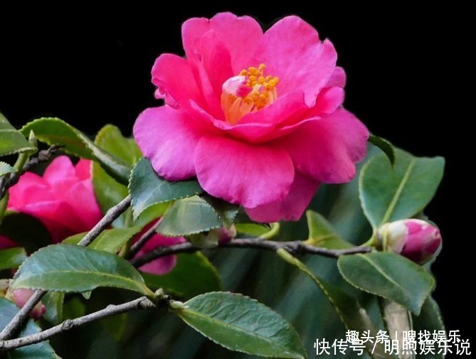 Geplc4qjo6 Jzm Geplc4qjo6 Jzm