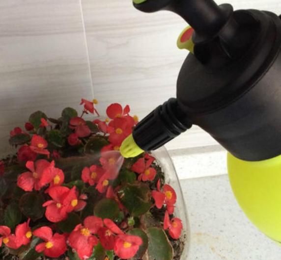 当家中没人时，用上几种无人补水的方法，不再担心花草干旱、枯萎