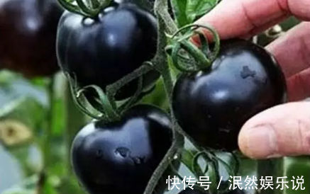 营养粥|女性想要身体好，推荐3种食物，排毒清肠，刮油消脂，消除小赘