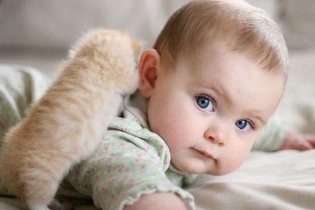 步骤|新生儿一哭你就抱？新手爸妈要知道这才是正确的哄娃步骤！