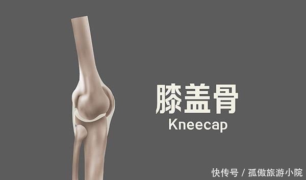 身体部位预示着孩子能长多高,不用等到长大,家长早知道早预防