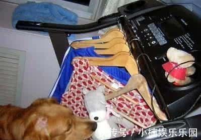 橱柜|九款“中看不中用”的家居用品,看看你家中了几个!