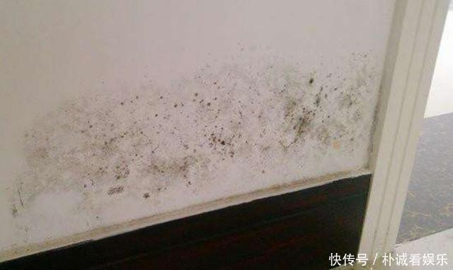 开裂|秋季墙面怎么保养3种常见“症状”,对症下药巧上家居美容课