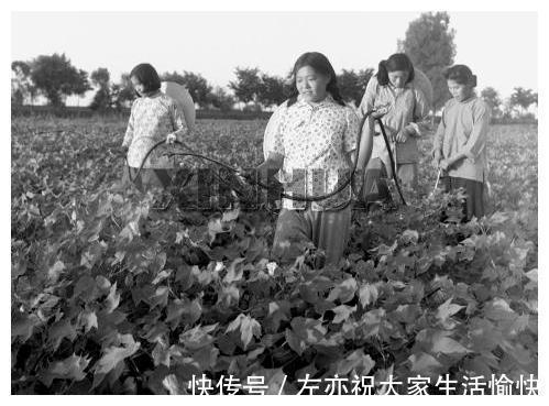 石家庄藁城县五六十年代老照片