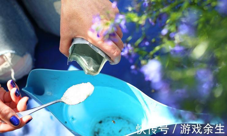 养花界的流行的口诀技巧,你能记住多少