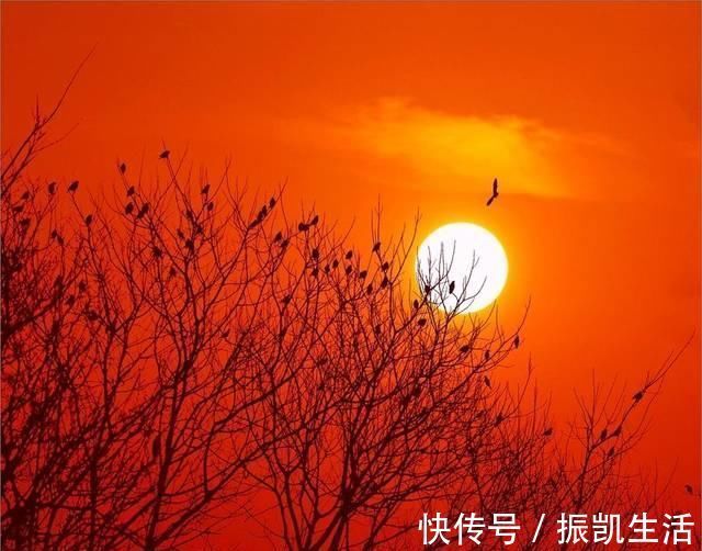 古诗!这首诗只有四句,却浓缩了沉甸甸的人生沧桑,读来让人回味无穷