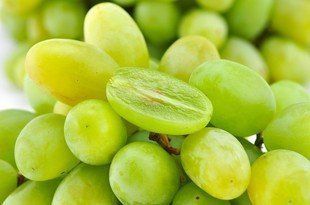 叶三苜蓿齿|适合女性吃的3种食物，补充营养、延缓衰老，身体棒棒哒！