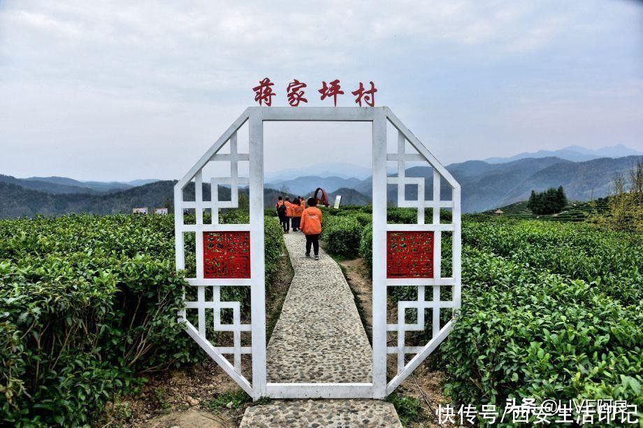 相约安康春来早，走进巴山岚皋最美平利体验美丽春天