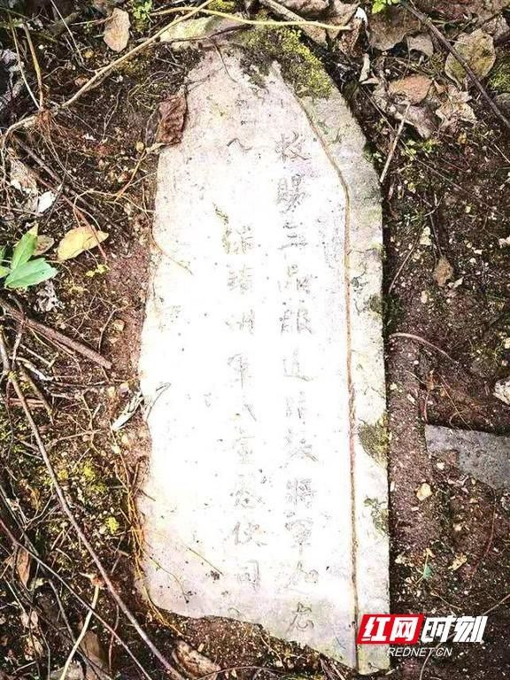  文史|湘西文史 湘西土司彭翼南怒沉秦淮名妓王翠翘