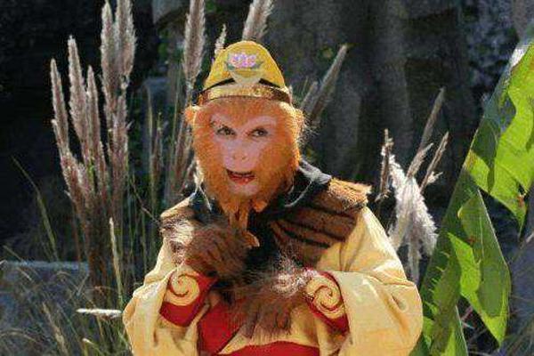 筋斗云|孙悟空为何打死六个凡人?把他们的名字连一起,你会发现一个秘密