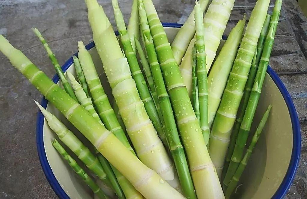 烹饪方法|买笋时,“矮胖”的好还是“细长”的好?别傻傻不懂,花冤枉钱