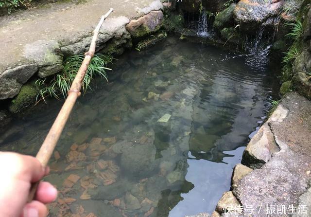 野钓|理想中的钓鱼VS现实中的钓鱼,新手看懵圈,老手看得扎心