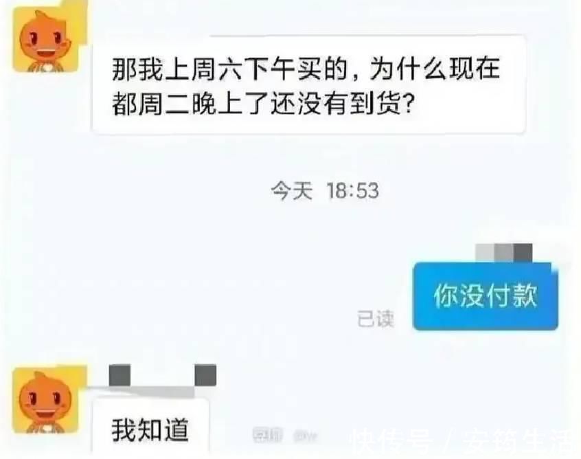 顾客|某宝商家和顾客的迷惑对话，网友：我一直在打差评的边缘徘徊