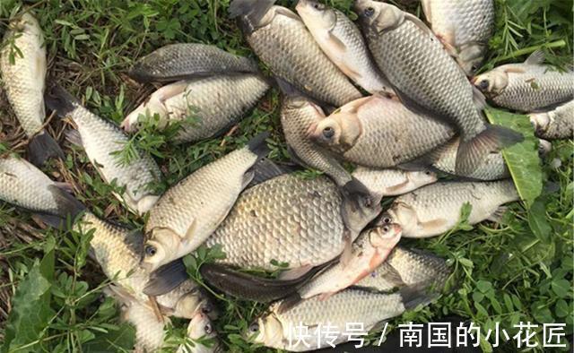 目数|适合拉饵的几种调漂方法，饵料轻重不同，调漂方法一定有差异