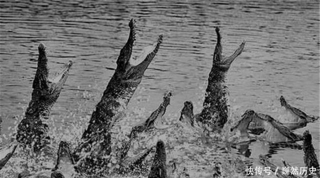 剩下|日军最不幸的一场战役!1000多人就死了900多,剩下的20人还疯了