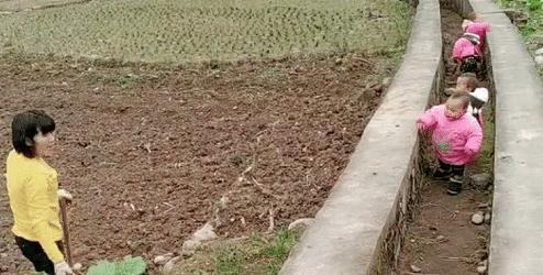 辅助工具|“最勤劳奶奶”火了,一人带四娃还干农活,网友:真正的“圈养”