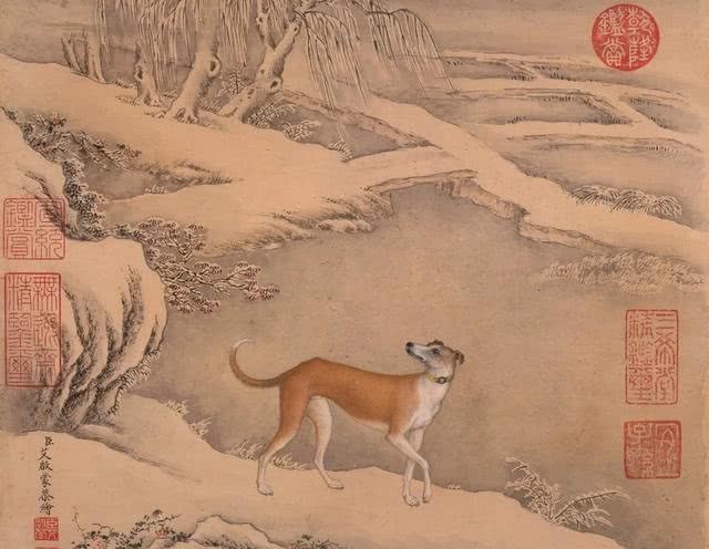 民间|民间说“狗肉上不了宴席”,为何还有那么多人吃狗肉?原因有很多