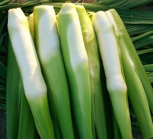 清洁夫|它富含膳食纤维，是肠道的“清洁夫”，多吃还可控制血糖、血脂